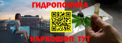 крисы Аргун